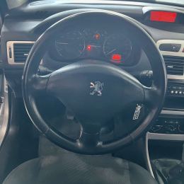 Foto 18 de Peugeot 307