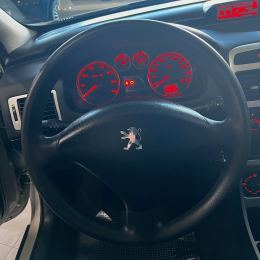 Foto 18 de Peugeot 307